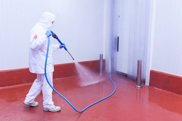 Best Residential House Exterior Washing  in Tigard, OR